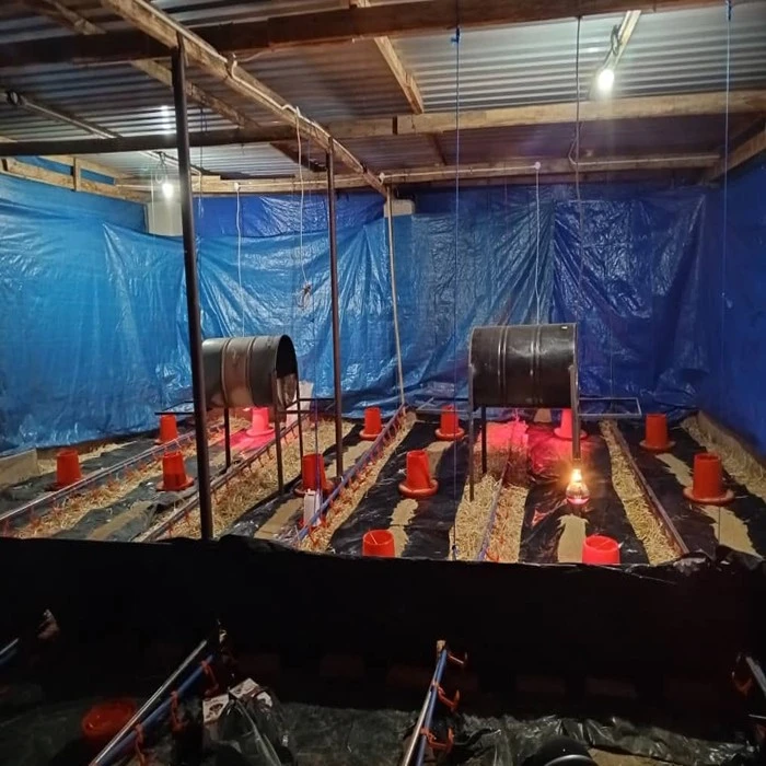 poultry curtain tarpaulin